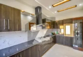 10 Marla Fully Modern Bungalow For Sale Dha 8