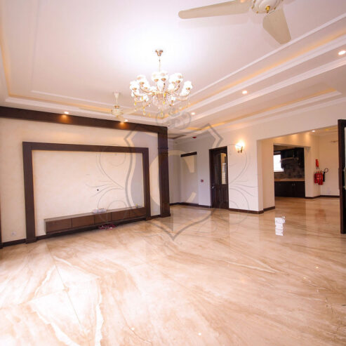 1 Kanal Brand new Magnificent Bungalow for sale in DHA Lahore.